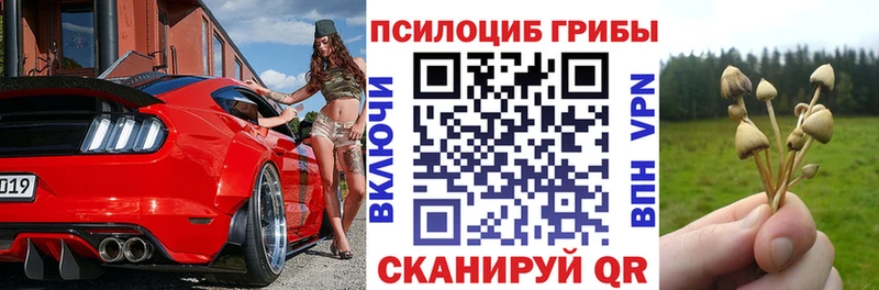 ОМГ ОМГ   Белебей  Псилоцибиновые грибы Cubensis 
